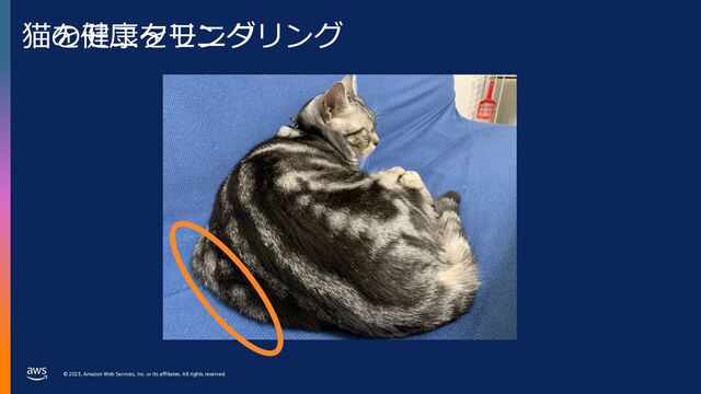 © 2023, Amazon Web Services, Inc. or its affiliates. All rights reserved.
猫をモニタリング
猫の健康をモニタリング
