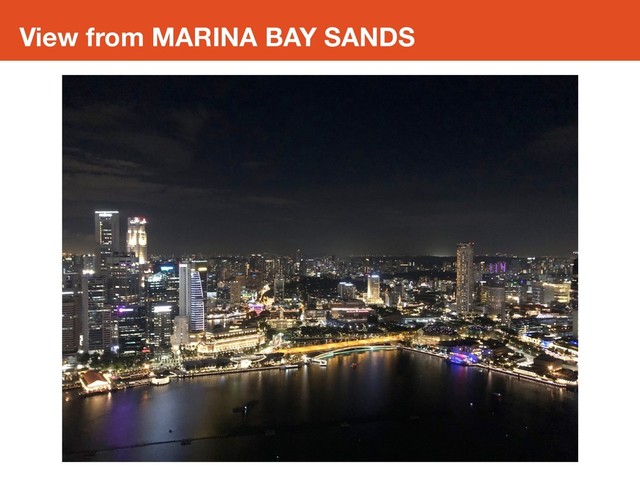 View from MARINA BAY SANDS
