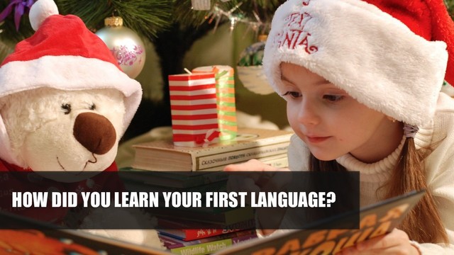 HOW DID YOU LEARN YOUR FIRST LANGUAGE?
