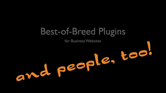Best-of-Breed Plugins
for Business Websites
and people, too!

