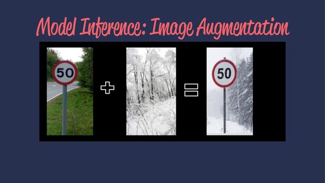 Model Inference: Image Augmentation
