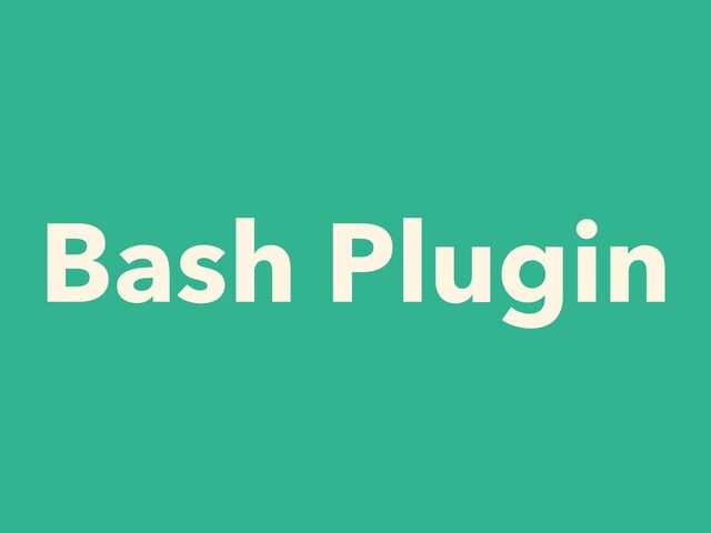 Bash Plugin
