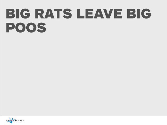 BIG RATS LEAVE BIG
POOS
