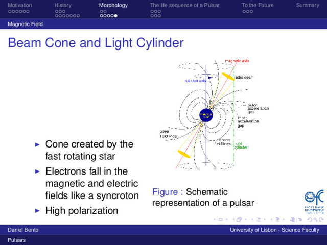 Motivation History Morphology The life sequence of a Pulsar To the Future Summary
Magnetic Field
Beam Cone and Light Cylinder
Cone created by the
fast rotating star
Electrons fall in the
magnetic and electric
ﬁelds like a syncroton
High polarization
Figure : Schematic
representation of a pulsar
Daniel Bento University of Lisbon - Science Faculty
Pulsars
