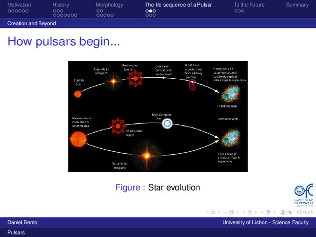 Motivation History Morphology The life sequence of a Pulsar To the Future Summary
Creation and Beyond
How pulsars begin...
Figure : Star evolution
Daniel Bento University of Lisbon - Science Faculty
Pulsars
