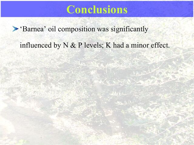 ‘Barnea’ oil composition was significantly
influenced by N & P levels; K had a minor effect.
Conclusions
