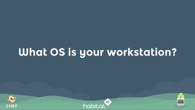 What OS is your workstation?
