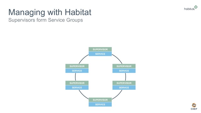 Managing with Habitat
Supervisors form Service Groups
SERVICE
SUPERVISOR
SERVICE
SUPERVISOR
SERVICE
SUPERVISOR
SERVICE
SUPERVISOR
SERVICE
SUPERVISOR
SERVICE
SUPERVISOR
