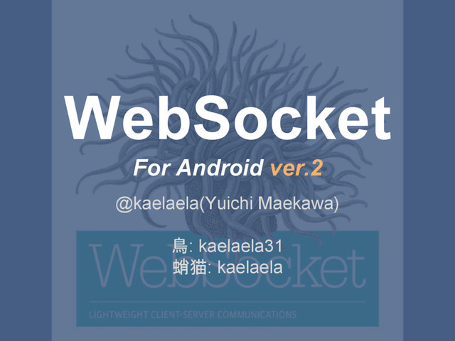 WebSocket
For Android ver.2
@kaelaela(Yuichi Maekawa)
鳥: kaelaela31
蛸猫: kaelaela
