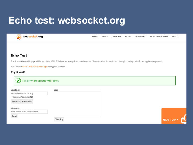 Echo test: websocket.org
