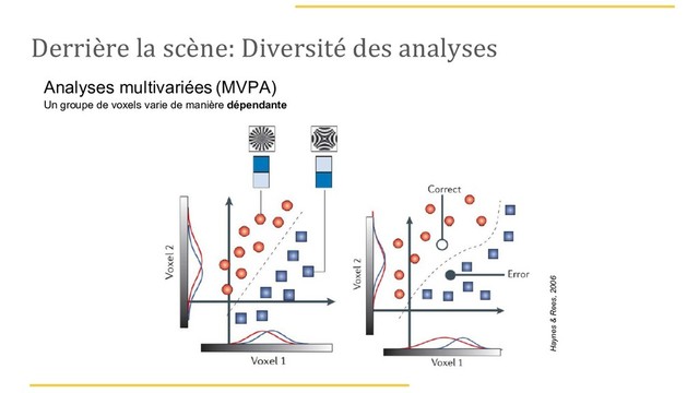 Derrière la scène: Diversité des analyses
Analyses multivariées (MVPA)
Un groupe de voxels varie de manière dépendante
Haynes & Rees, 2006
