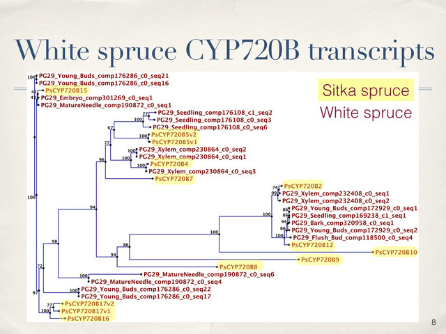 8
White spruce CYP720B transcripts
Sitka spruce
White spruce
