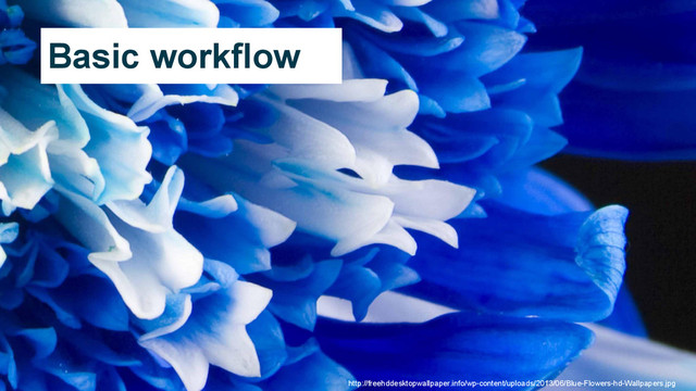 http://freehddesktopwallpaper.info/wp-content/uploads/2013/06/Blue-Flowers-hd-Wallpapers.jpg
Basic workflow
