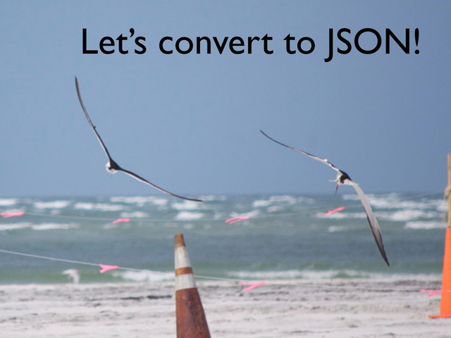 Let’s convert to JSON!
