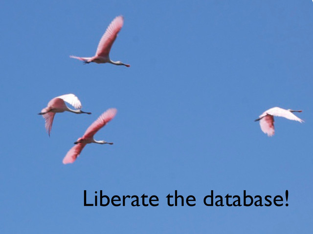 Liberate the database!
