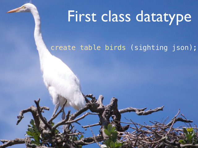 First class datatype
create table birds (sighting json);
