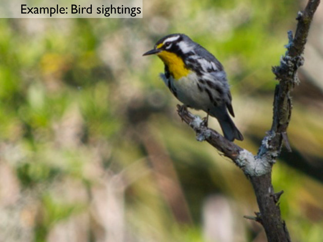 Example: Bird sightings
Example: Bird sightings
