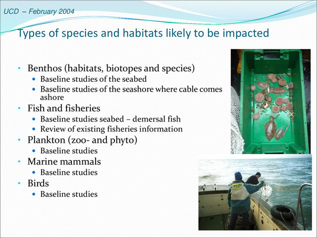 UCD – February 2004
Types of species and habitats likely to be impacted
• Benthos (habitats, biotopes and species)
 Baseline studies of the seabed
 Baseline studies of the seashore where cable comes
ashore
• Fish and fisheries
 Baseline studies seabed – demersal fish
 Review of existing fisheries information
• Plankton (zoo- and phyto)
 Baseline studies
• Marine mammals
 Baseline studies
• Birds
 Baseline studies
