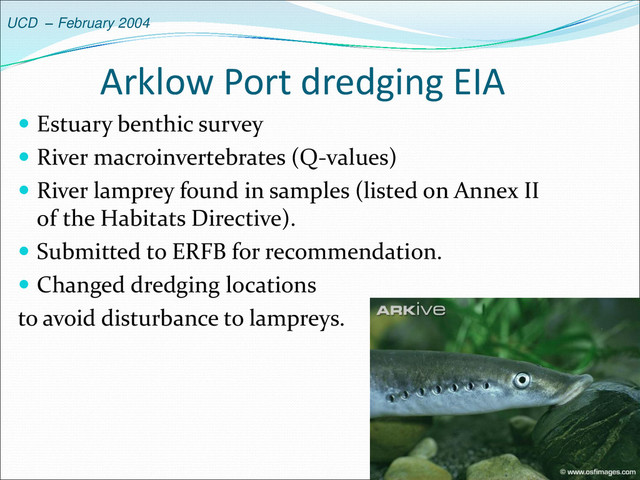UCD – February 2004
Arklow Port dredging EIA
 Estuary benthic survey
 River macroinvertebrates (Q-values)
 River lamprey found in samples (listed on Annex II
of the Habitats Directive).
 Submitted to ERFB for recommendation.
 Changed dredging locations
to avoid disturbance to lampreys.
