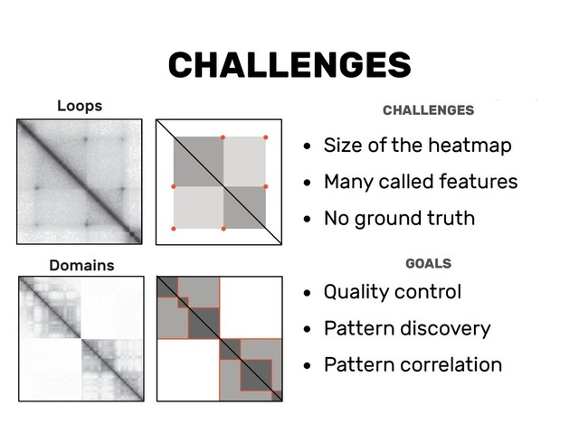 CHALLENGES
• Size of the heatmap
• Many called features
• No ground truth
GOALS
• Quality control
• Pattern discovery
• Pattern correlation
CHALLENGES
