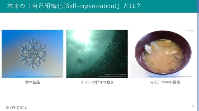 23
本来の「⾃⼰組織化(Self-organization)」とは？
Alexey Kljatov, CC BY-SA 4.0  Mikkabie, CC BY-SA 4.0 
TANAKA Juuyoh (⽥中⼗洋), CC BY 2.0

雪の結晶 みそ汁の中の模様
イワシの群れの動き
