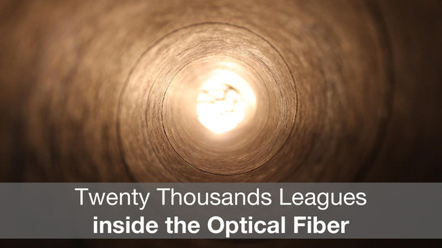 Twenty Thousands Leagues
inside the Optical Fiber
