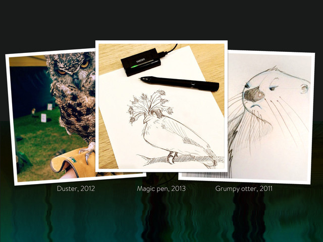Grumpy otter, 2011
Duster, 2012 Magic pen, 2013
