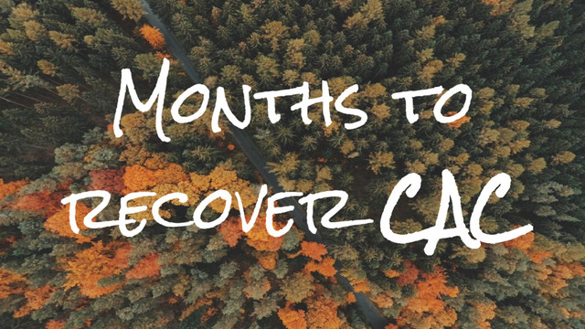 Months to
recover CAC
