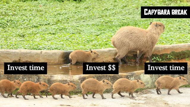 In between
Invest time Invest time
Invest $$
Capybara break
