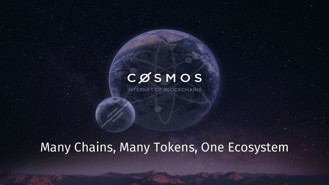 Many Chains, Many Tokens, One Ecosystem
