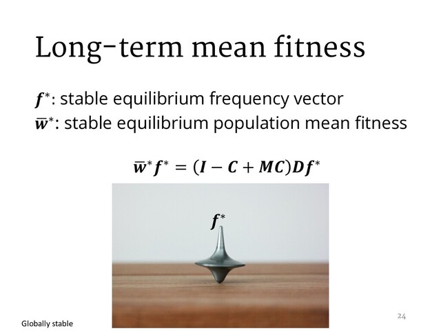 Long-term mean fitness
∗: stable equilibrium frequency vector
,
∗: stable equilibrium population mean fitness
,
∗∗ =  −  +  ∗
∗
Globally stable
24
