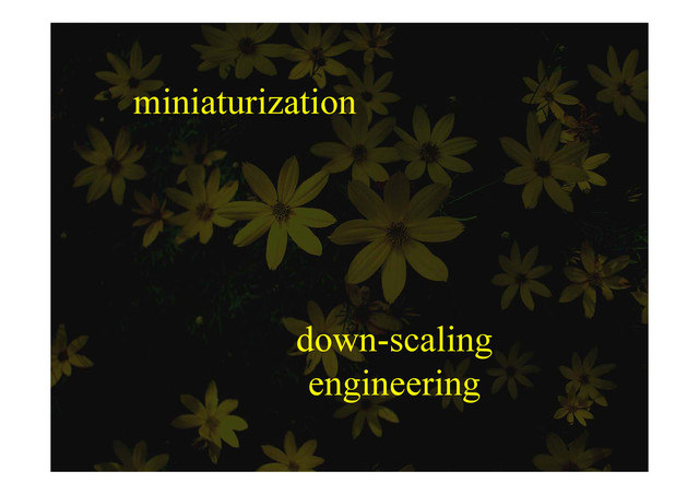 miniaturization
down-scaling
engineering
