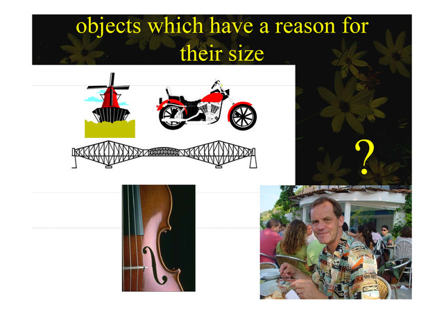 objects which have a reason for
their si e
their size
?
?
