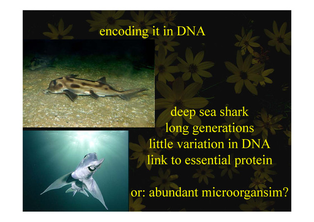 encoding it in DNA
e cod g N
deep sea shark
deep sea shark
long generations
little variation in DNA
link to essential protein
link to essential protein
or: abundant microorgansim?
