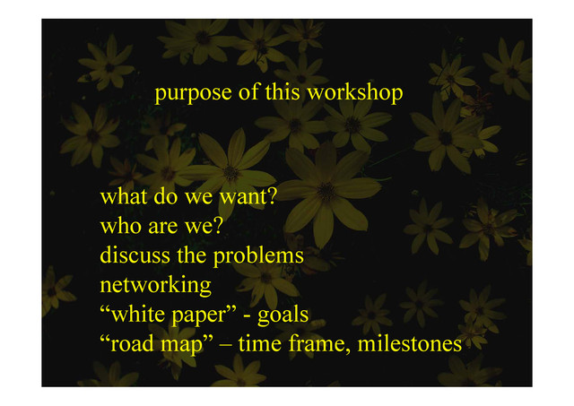purpose of this workshop
what do we want?
what do we want?
who are we?
di th bl
discuss the problems
networking
g
“white paper” - goals
“road map” time frame milestones
road map – time frame, milestones
