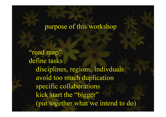 purpose of this workshop
“road map”
d fi k
define tasks
disciplines, regions, indivduals
p , g ,
avoid too much duplication
ifi ll b ti
specific collaborations
kick start the “bigger”
gg
(put together what we intend to do)
