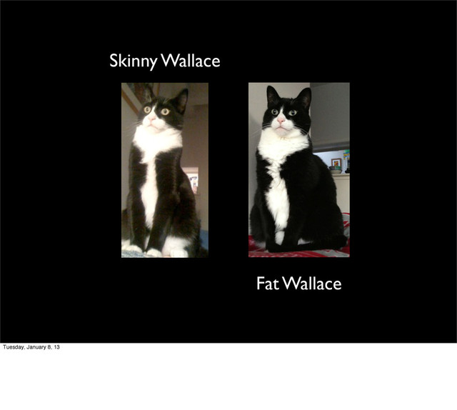 Skinny Wallace
Fat Wallace
Tuesday, January 8, 13
