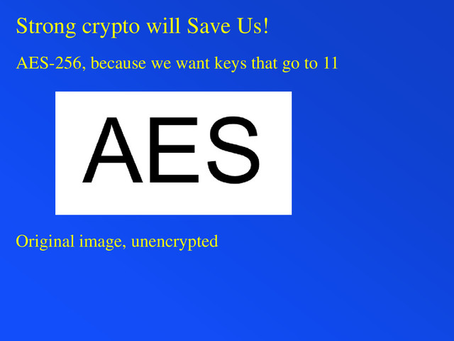 Strong crypto will Save Us!
AES-256, because we want keys that go to 11
Original image, unencrypted
