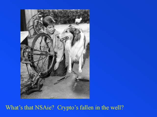 What’s that NSAie? Crypto’s fallen in the well?
