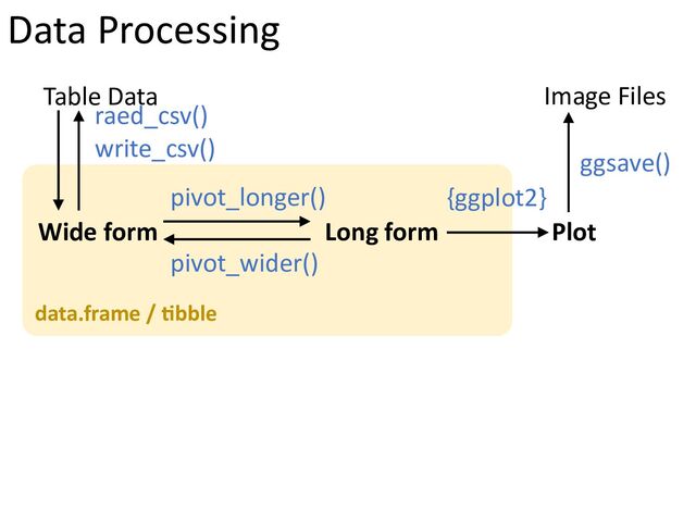 data.frame / *bble
raed_csv()
write_csv()
Table Data
Wide form Long form
pivot_longer()
pivot_wider()
Plot
{ggplot2}
Image Files
ggsave()
Data Processing
