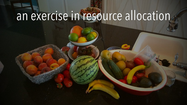 an exercise in resource allocation
