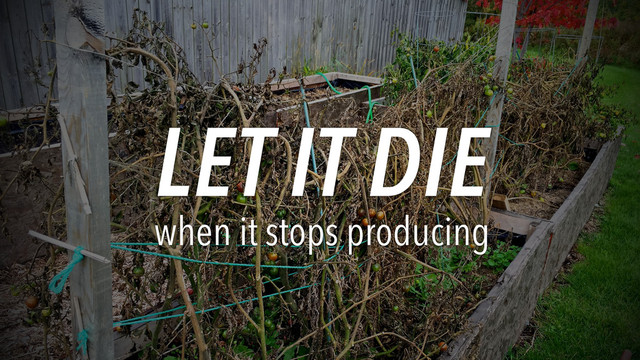 LET IT DIE
when it stops producing
