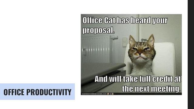 OFFICE PRODUCTIVITY

