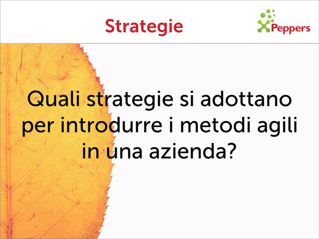 Strategie
Quali strategie si adottano
per introdurre i metodi agili
in una azienda?
