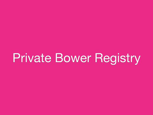 Private Bower Registry
