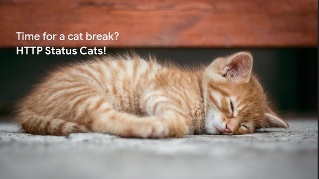 Proprietary + Confidential
Time for a cat break?
HTTP Status Cats!
