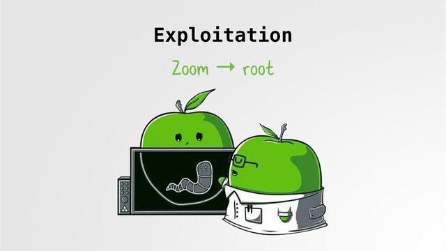 Exploitation
Zoom → root
