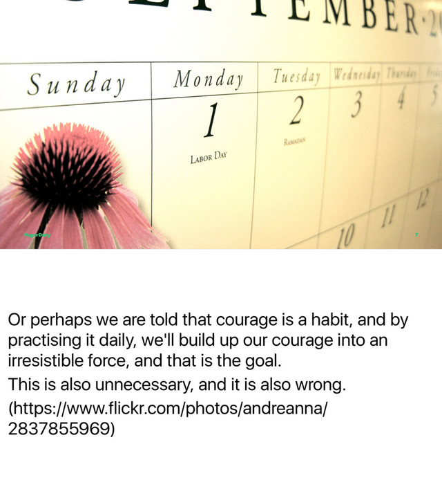 Or perhaps we are told that courage is a habit, and by
practising it daily, we'll build up our courage into an
irresistible force, and that is the goal.
This is also unnecessary, and it is also wrong.
(https://www.flickr.com/photos/andreanna/
2837855969)
PagerDuty 7
