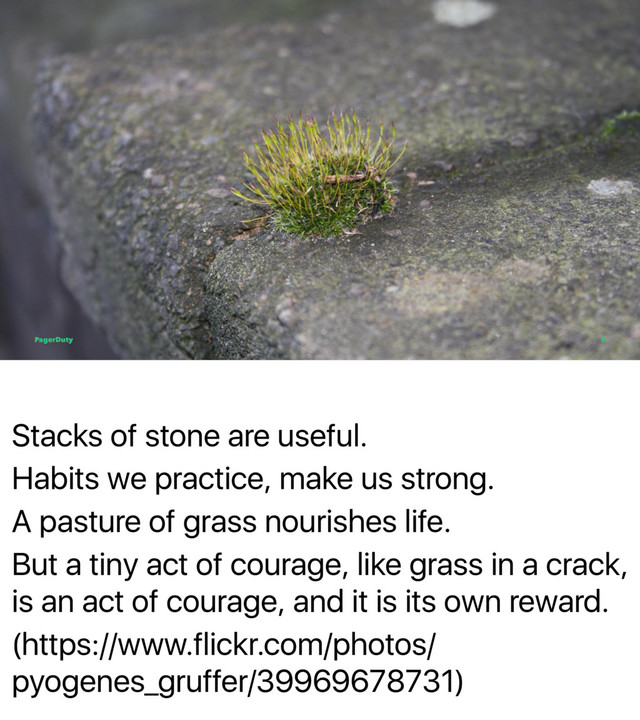Stacks of stone are useful.
Habits we practice, make us strong.
A pasture of grass nourishes life.
But a tiny act of courage, like grass in a crack,
is an act of courage, and it is its own reward.
(https://www.flickr.com/photos/
pyogenes_gruffer/39969678731)
PagerDuty 9
