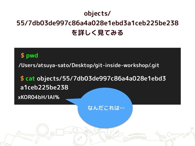 objects/
55/7db03de997c86a4a028e1ebd3a1ceb225be238
を詳しく見てみる
$ pwd
/Users/atsuya-sato/Desktop/git-inside-workshop/.git
$ cat objects/55/7db03de997c86a4a028e1ebd3 
a1ceb225be238
xKOR04bH/IAI%
なんだこれは…
